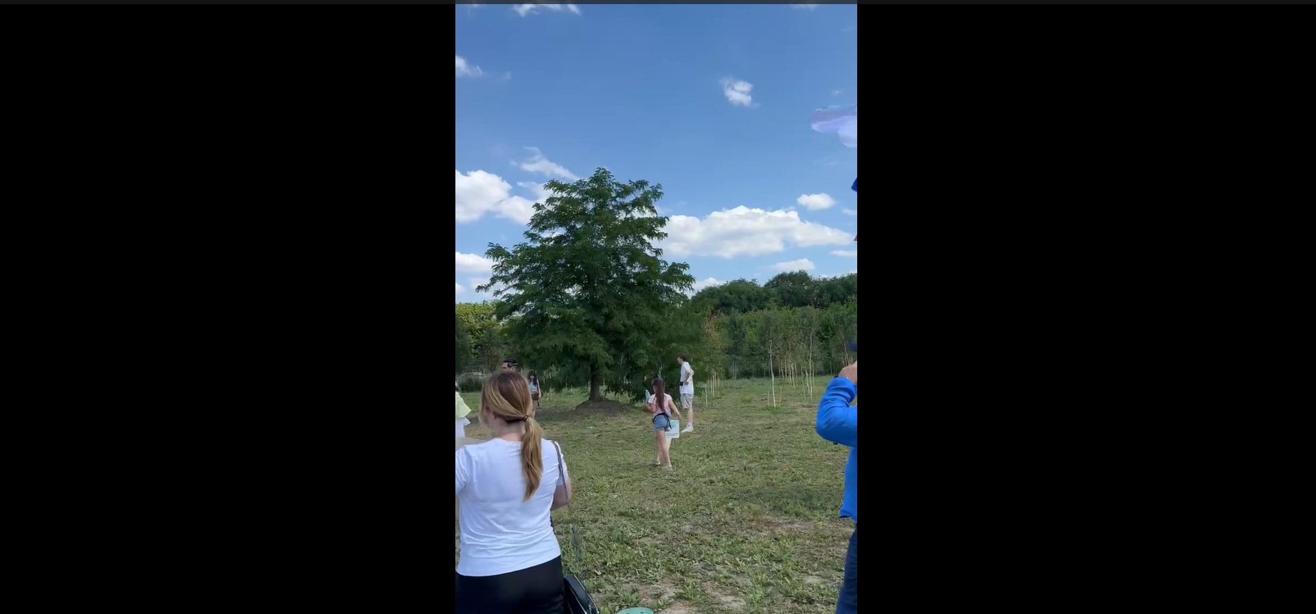 Превью видео